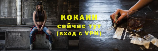 твердый Алексеевка