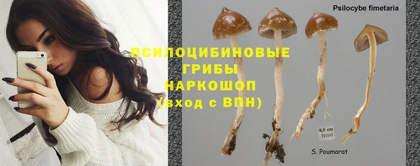 mdpv Алексин