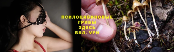 твердый Алексеевка
