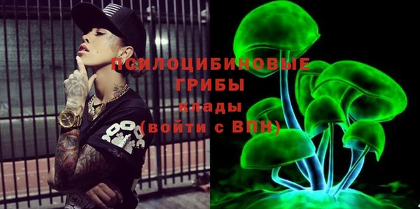 прущий лед Алзамай