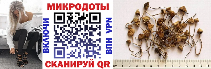 Псилоцибиновые грибы мицелий  Бакал 