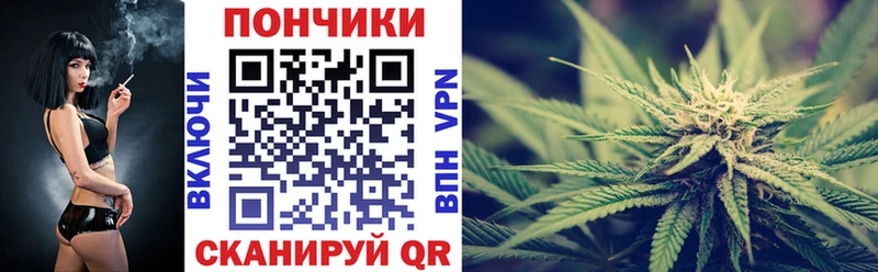 Бошки Шишки гибрид  сайты даркнета состав  Бакал 